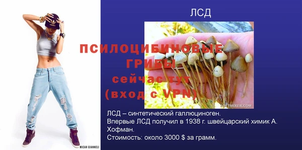 дмт Ладушкин
