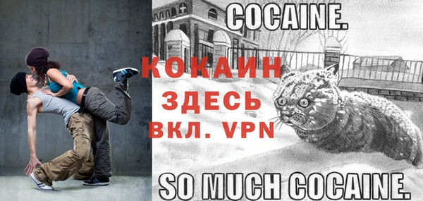 дмт Ладушкин
