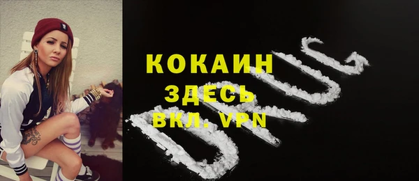индика Лагань