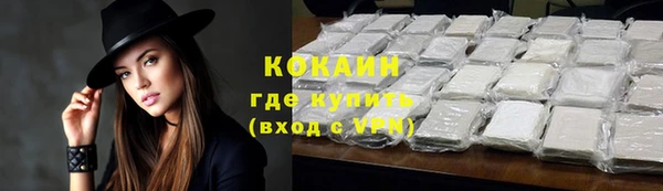дмт Ладушкин