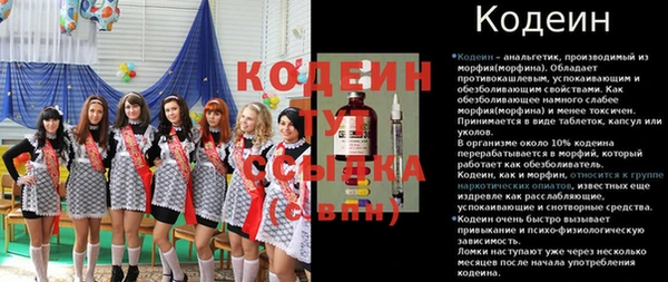 дмт Ладушкин