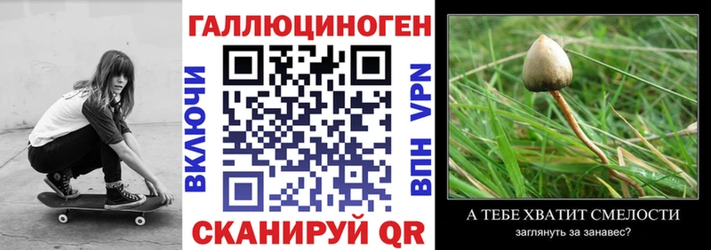 Галлюциногенные грибы мицелий  Мензелинск 